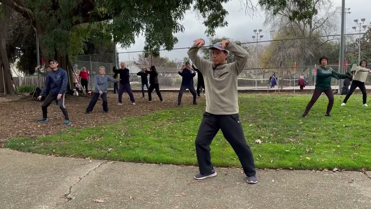 Chen Style Hunyuan 48 Taijiquan 陳式心意混元四十八式太極拳 - Postures 28 - 33