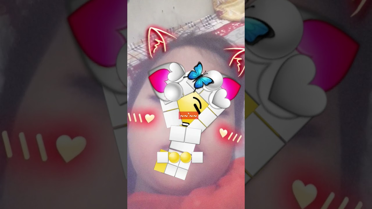 😽bfvc CD dfg😽