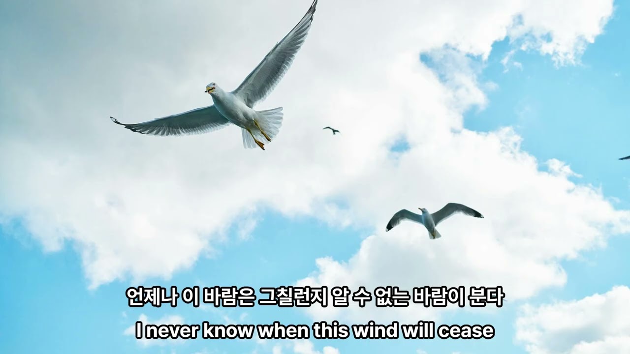 바람이분다
