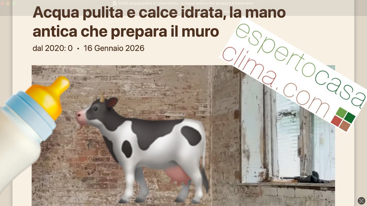 202# Acqua pulita e calce idrata, la mano antica che prepara il muro