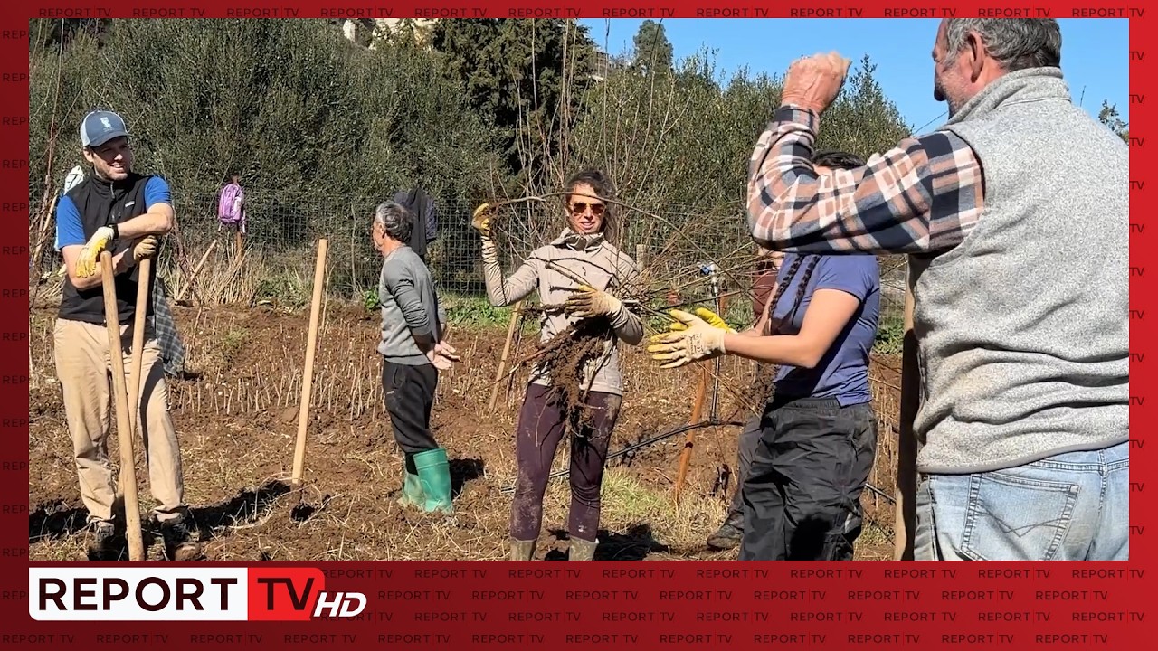 Vjosa/25 të rinj nga mbarë bota mbjellin 3 mijë fidanë! Pietro: Objektivi është pyllëzimi i zonës