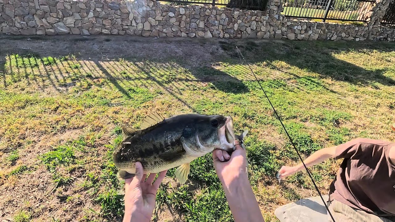 Going Wide With a Tiny Klash At Private Ponds!!!