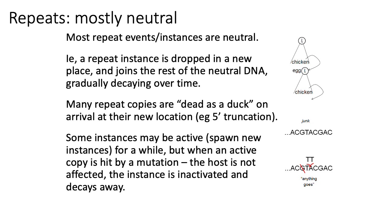 MCB 182 Lecture 1.4 - Review - Repetitive sequences