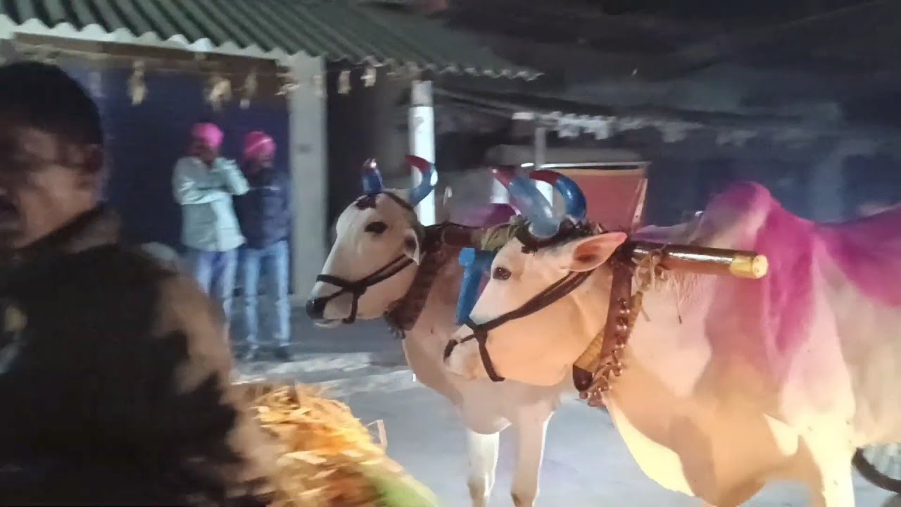 #kothakonda #jathara🕉️🙏 #part-1#2026 🔱#shambunipally 