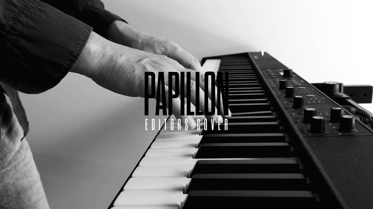 Papillon - The Mainstream (Editors Cover)
