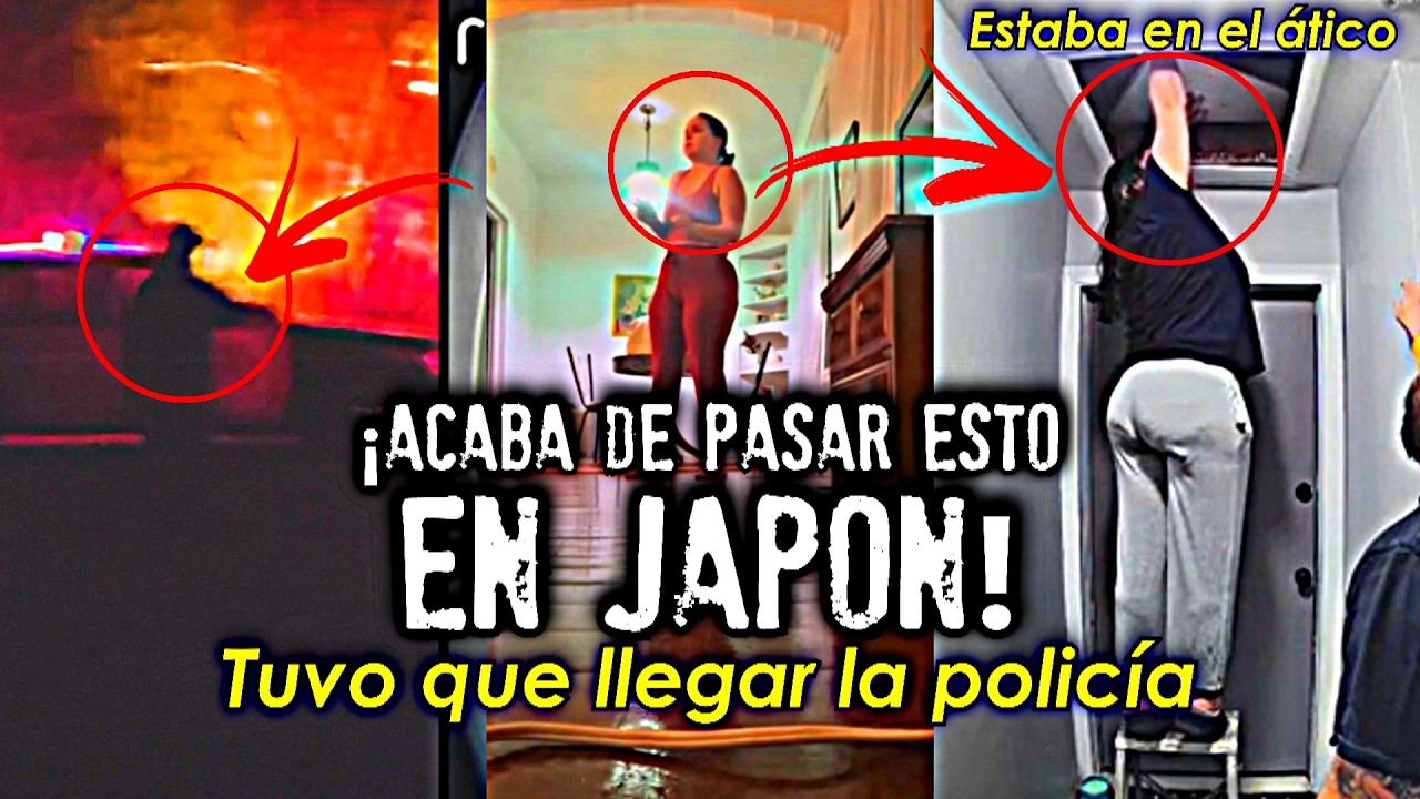 &Uacute;ltimo momento: &iexcl;Acaba de pasar esto en Jap&oacute;n!