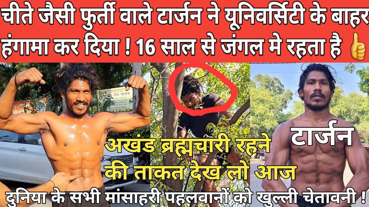 चीते जैसी फुर्ती वाले टार्जन ने MDU यूनिवर्सिटी के बाहर हंगामा कर दिया ! जंगल का बेताज बादशाह TARZAN