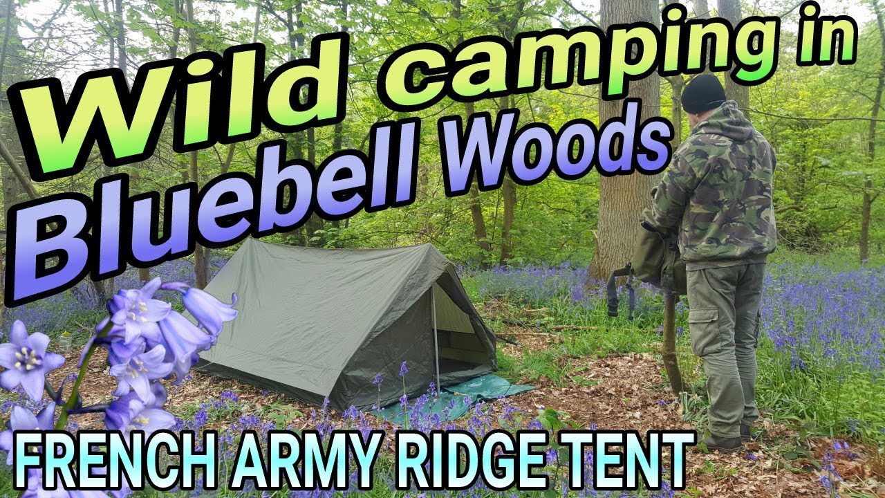 Bluebell woods solo wild camp | French army F2 ridge tent | Sirloin steak