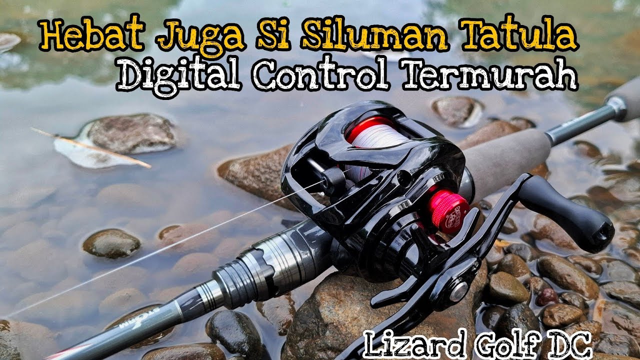 FIELD TEST TATULA SILUMAN CUMA 360K ‼️ HASILNYA DI LUAR DUGAAN | LIZARD GOLF DC