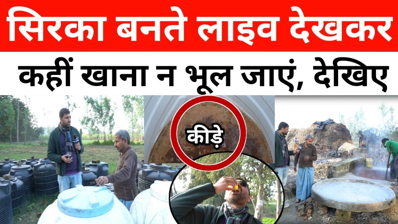 सिरका बनता देख लेंगे तो खाना भूल जायेंगे, देखिए लाइव सिरका और गुड़ कैसे बनाते हैं?