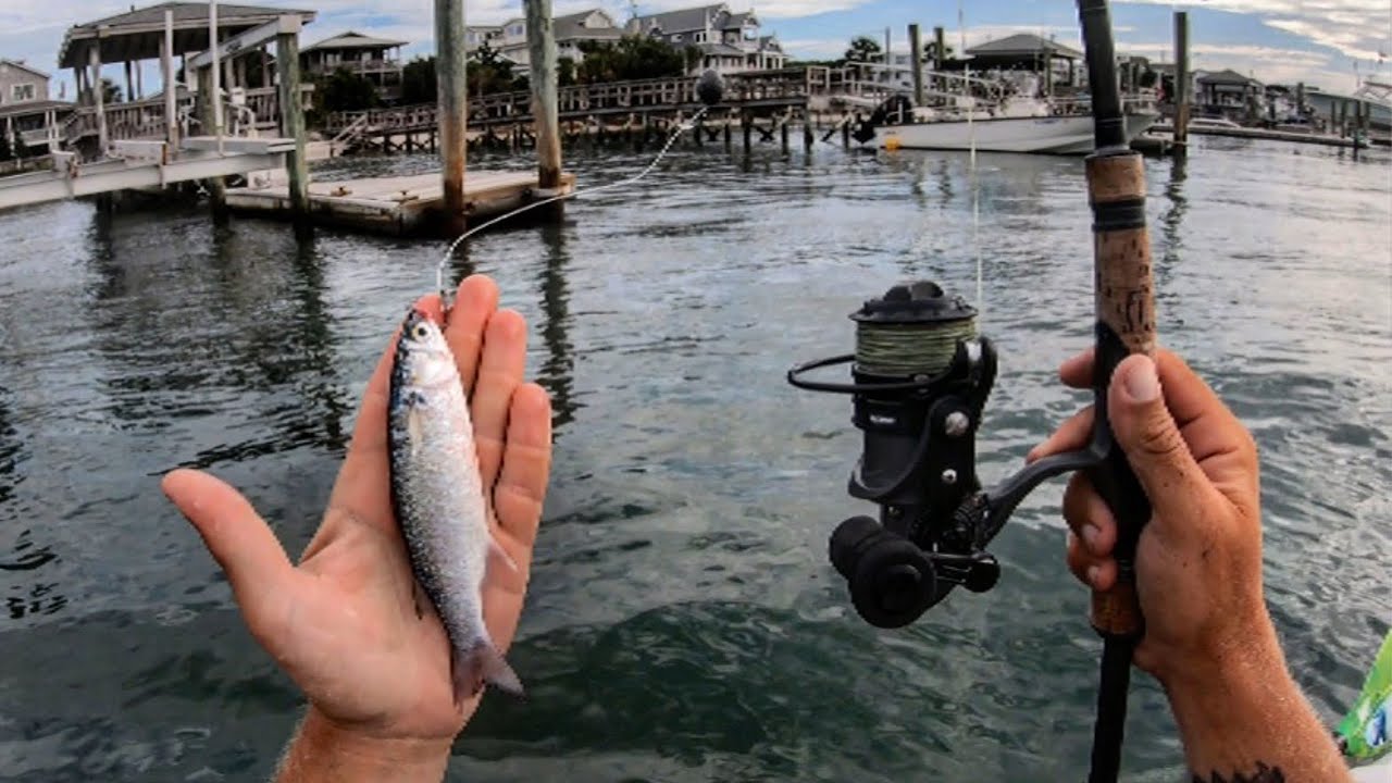 Fishing Live Mullet On Inshore Structure (Quality Over Quantity)