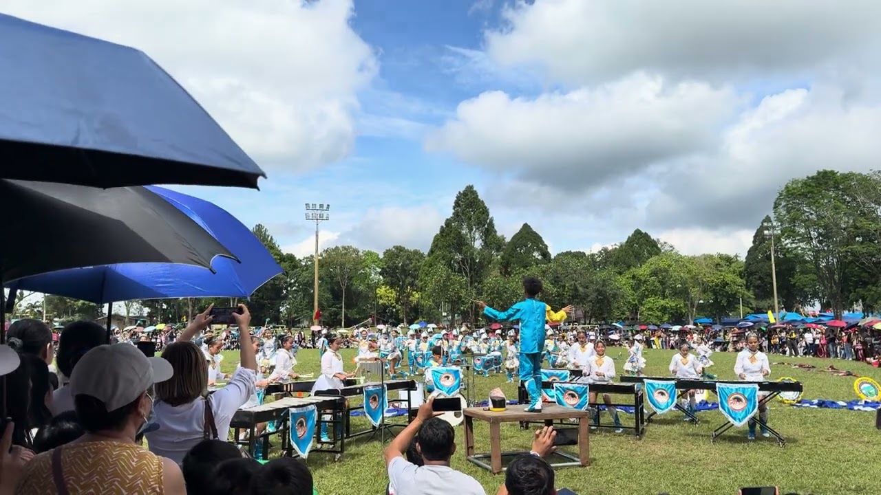 DRUM AND LYRE ALAE CENTRAL ELEMENTARY SCHOOL