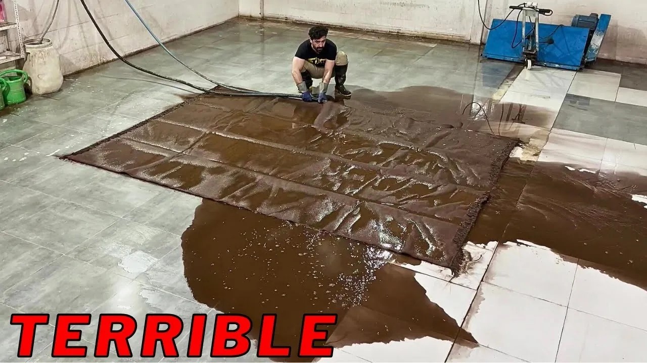 Мужчина в одиночку почистил потрясающий ковер в доме всего за 5 часов.