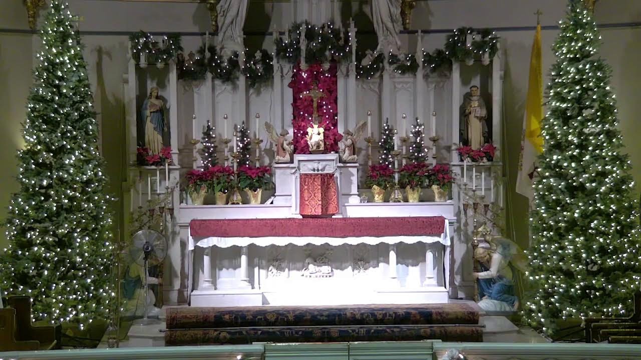 Holy Hour of Reparation 1/29/26