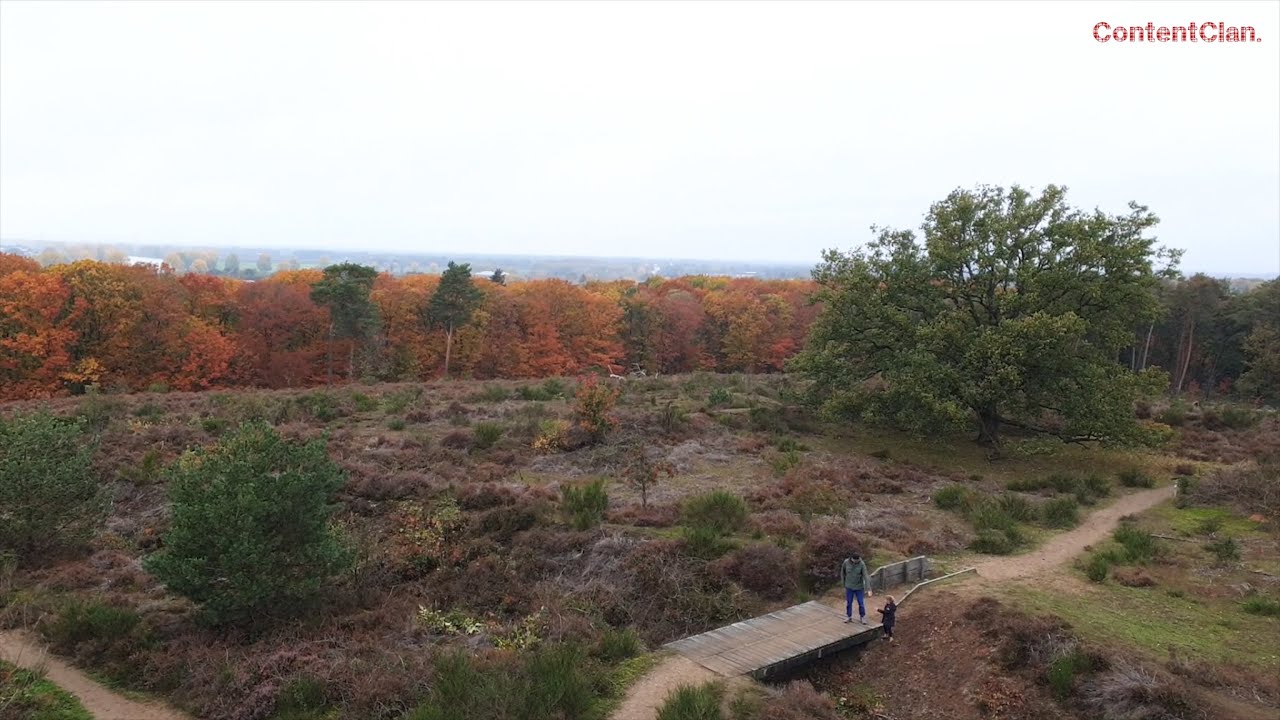 Toerist in Eigen Land - Aflevering 41: Mookerheide