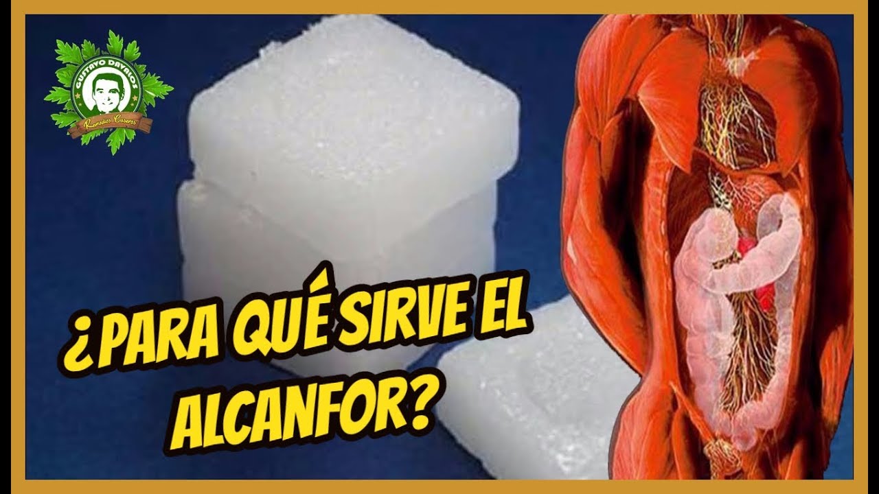 &iquest;Para qu&eacute; sirve el alcanfor? Beneficios del Alcanfor que no Sab&iacute;as