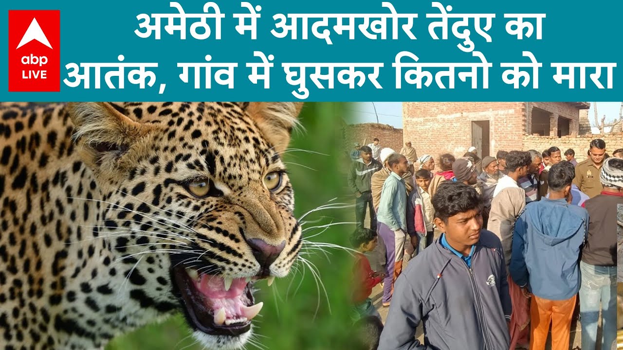 UP News: Amethi में तेदुएं का आतंक देखने को मिला, गांव वालों  पर हमला  किया | ABP LIVE