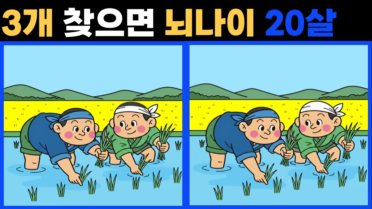 다른그림 찾기. 잠자는 두뇌를 깨우세요 초 고수도 3개 중 한 곳은 못 찾습니다 .치매 예방에 좋아요