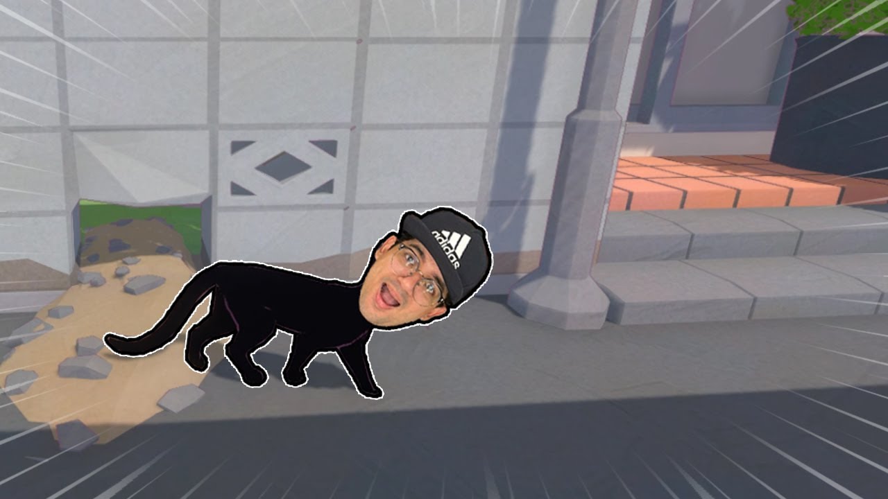 VIREI UM GATO PERDIDO NA CIDADE E TENHO QUE VOLTAR PRA CASA!