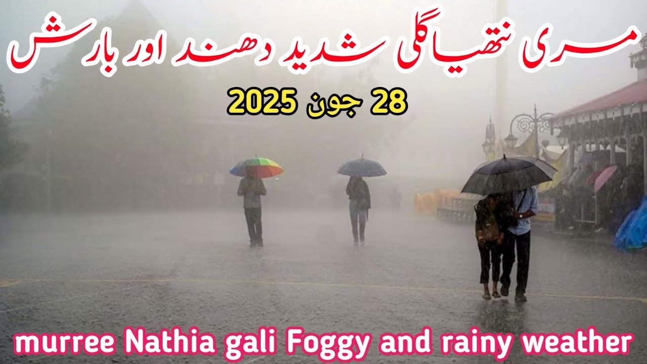 Murree Live today | #murree weather today | nathia gali today | murree Foggy and rainy weather