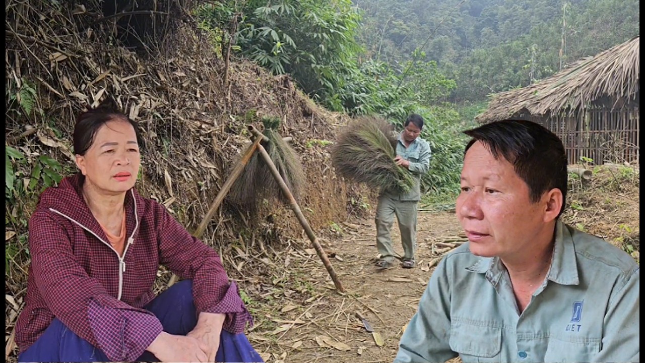 Mr. Ha's harvest nurtures his dream. His wife no longer shares it