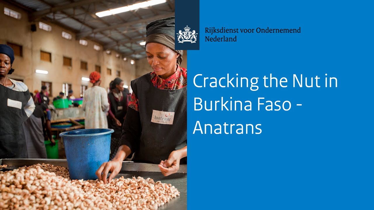 Cracking the Nut in Burkina Faso - Anatrans