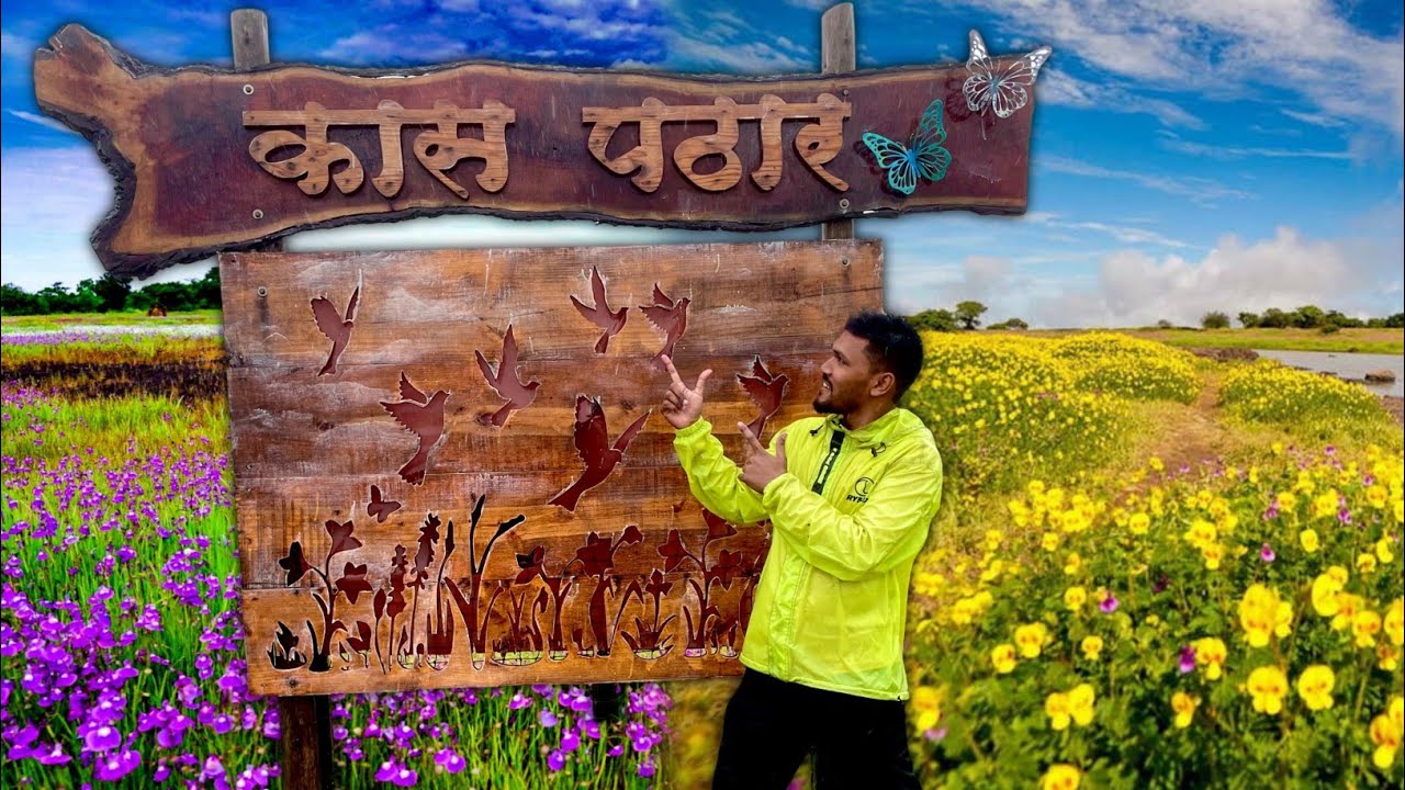 KAAS PATHAR 2025 | दुर्मिळ फुलांची संपूर्ण माहिती  | Complete Information | kas plateau | 