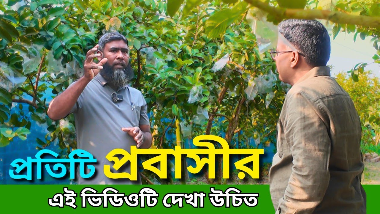 প্রতিটি প্রবাসীর এই ভিডিওটি দেখা উচিত ।
