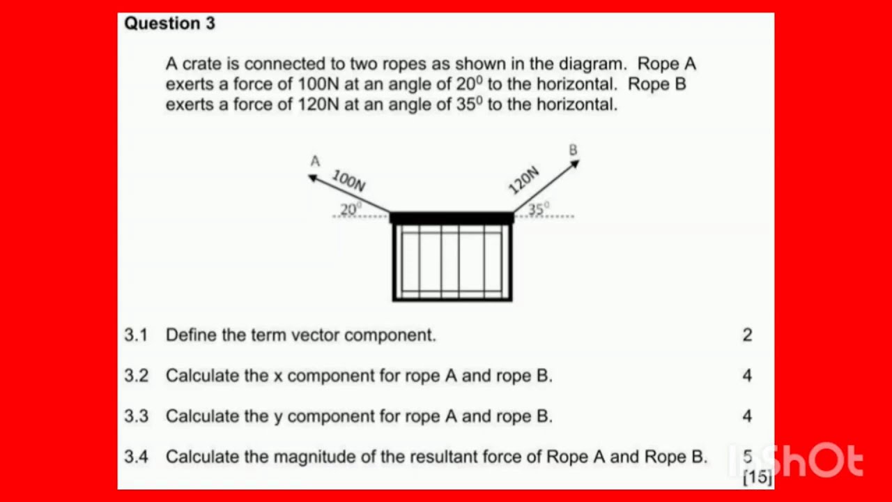 Exam Question (Vector)|P2
