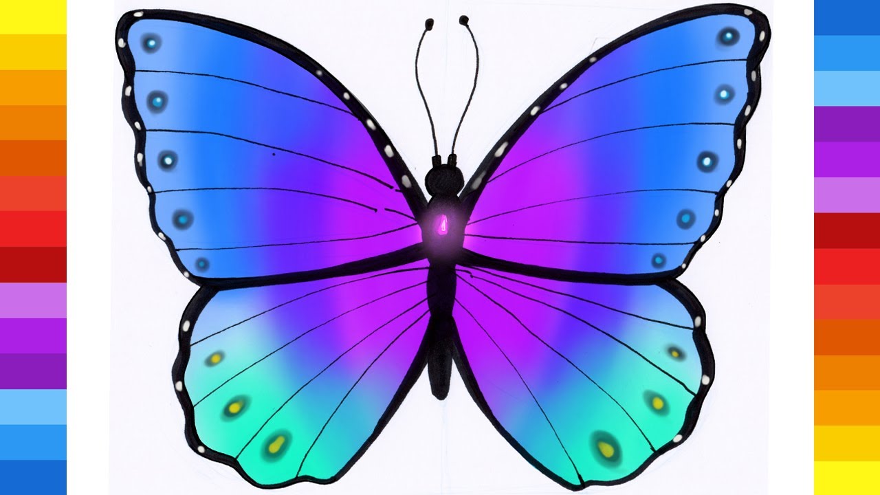 How to Draw a Butterfly Easy Drawing Step by Step - Como Dibujar una Mariposa Facil