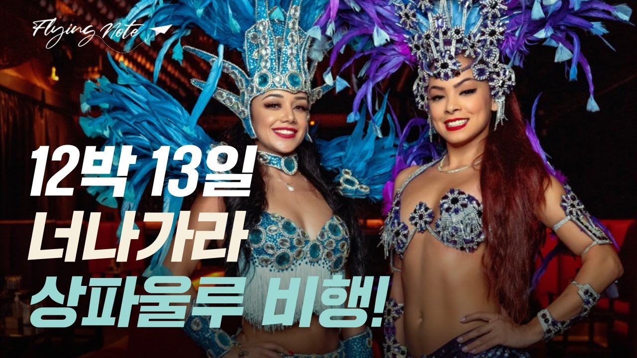 12박 13일 너나가라 상파울루 비행!