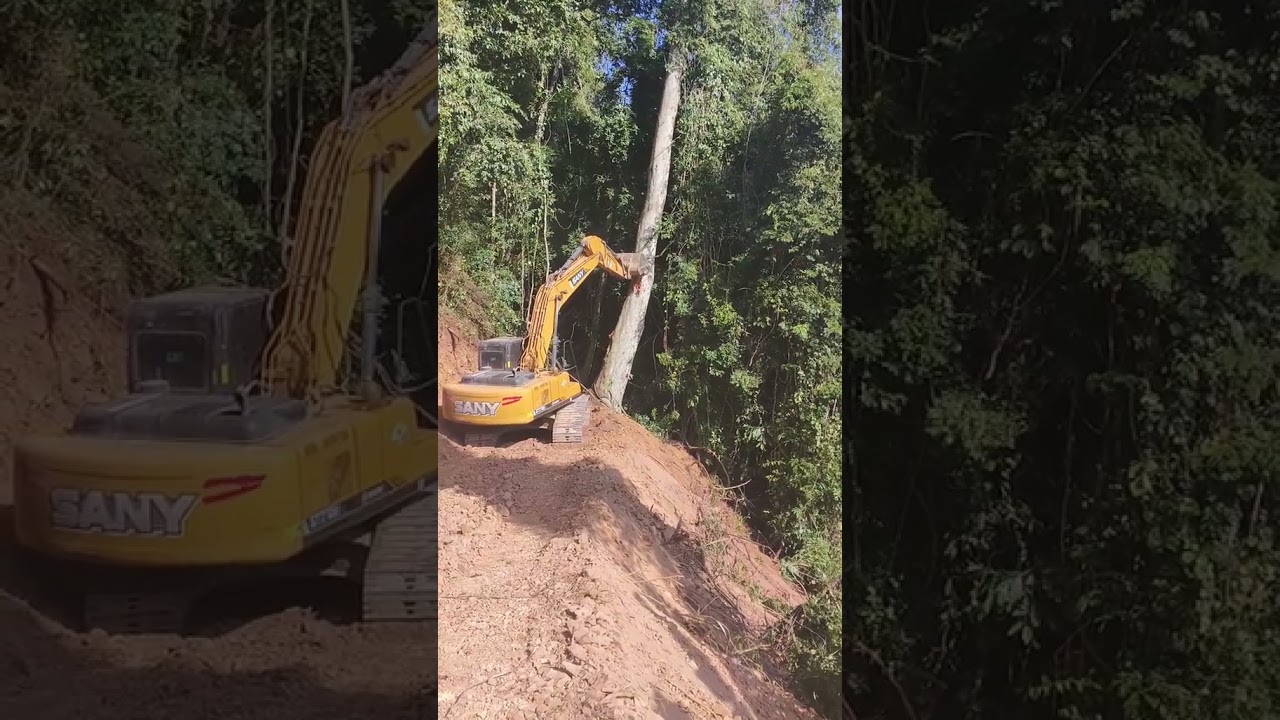 #highlights#followersreelsfypシ゚viralシfypシ゚#followersシ゚#fblifestyle#excavator