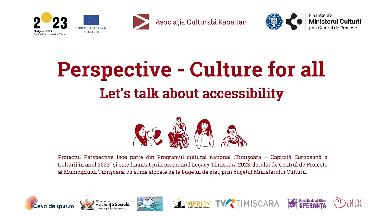 Consultare accesibilizare META Spatiu