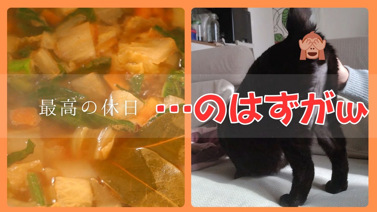 雨の日のルーティン。庭の野菜スープと猫の寝息。ボロボロの家で過ごす50代の静かな休日。
