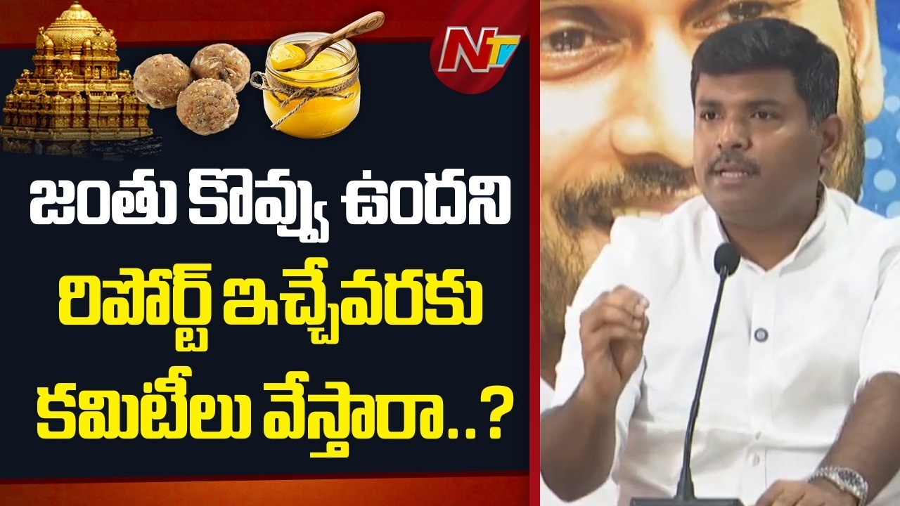 నెయ్యిలో జంతు కొవ్వు లేదని NDDB రిపోర్ట్ ఇచ్చింది |Gudivada amaranth counter to NDA Committee | NTV