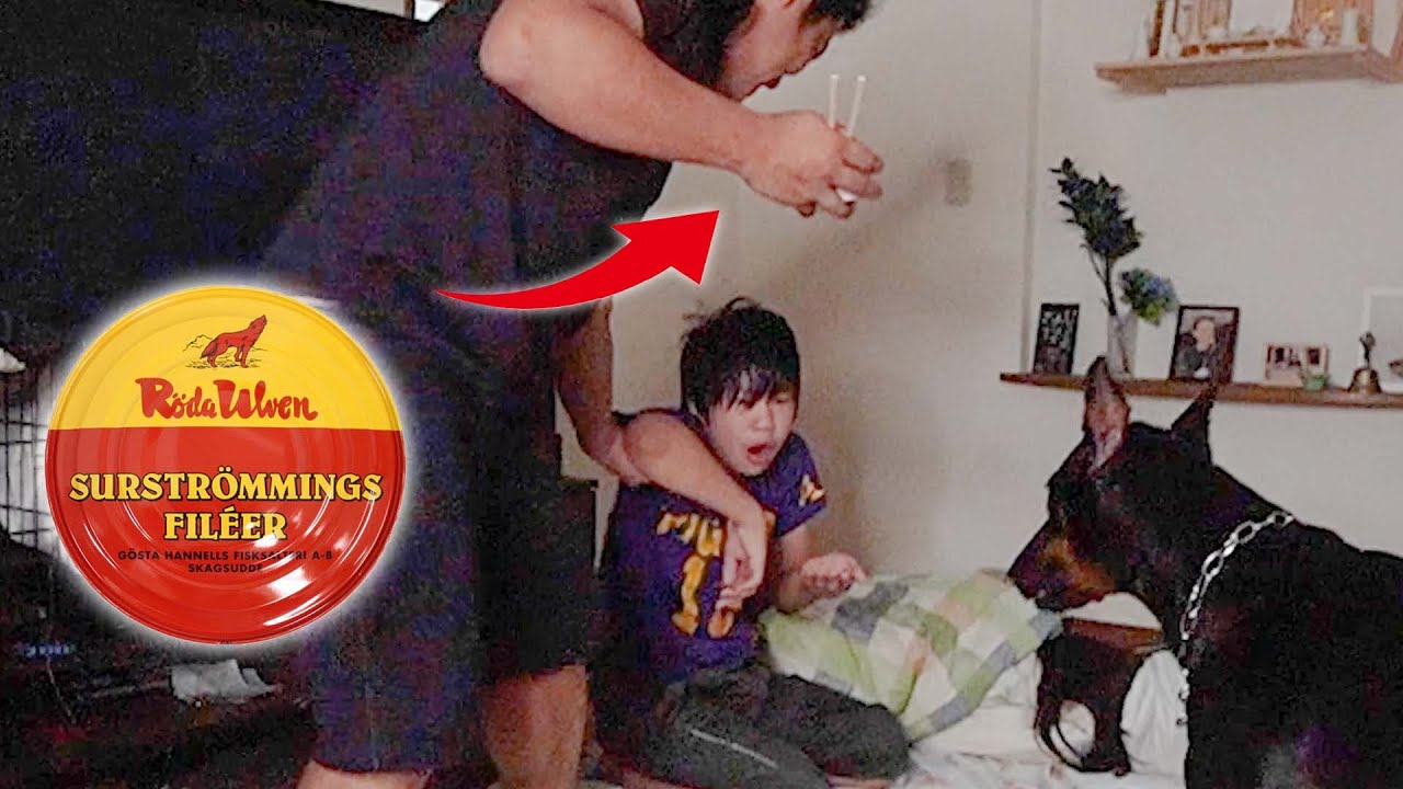 【鬼企画】寝てる子供達にシュールストレミングを食べさせる親父