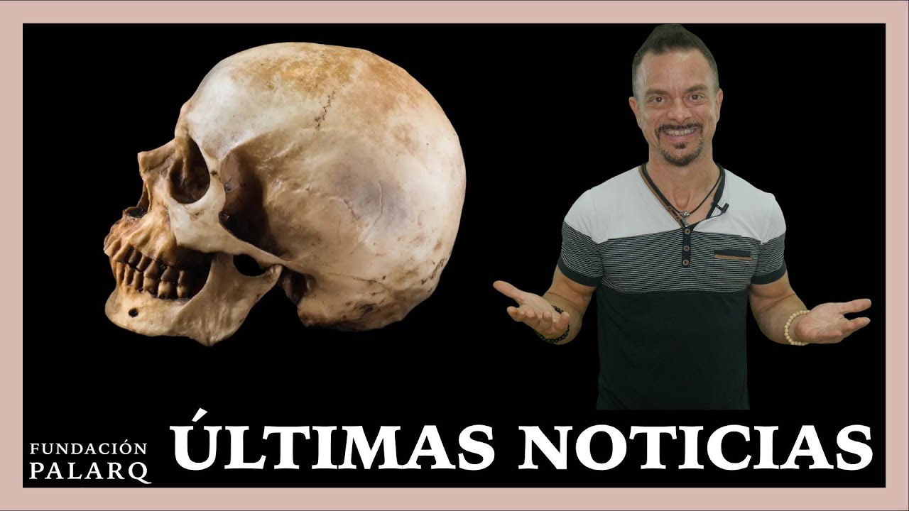 Descubren al Homo juluensis: Un homínido con un cráneo colosal | Noticias de Arqueología