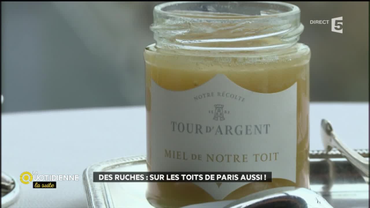 Des ruches : sur les toits de Paris