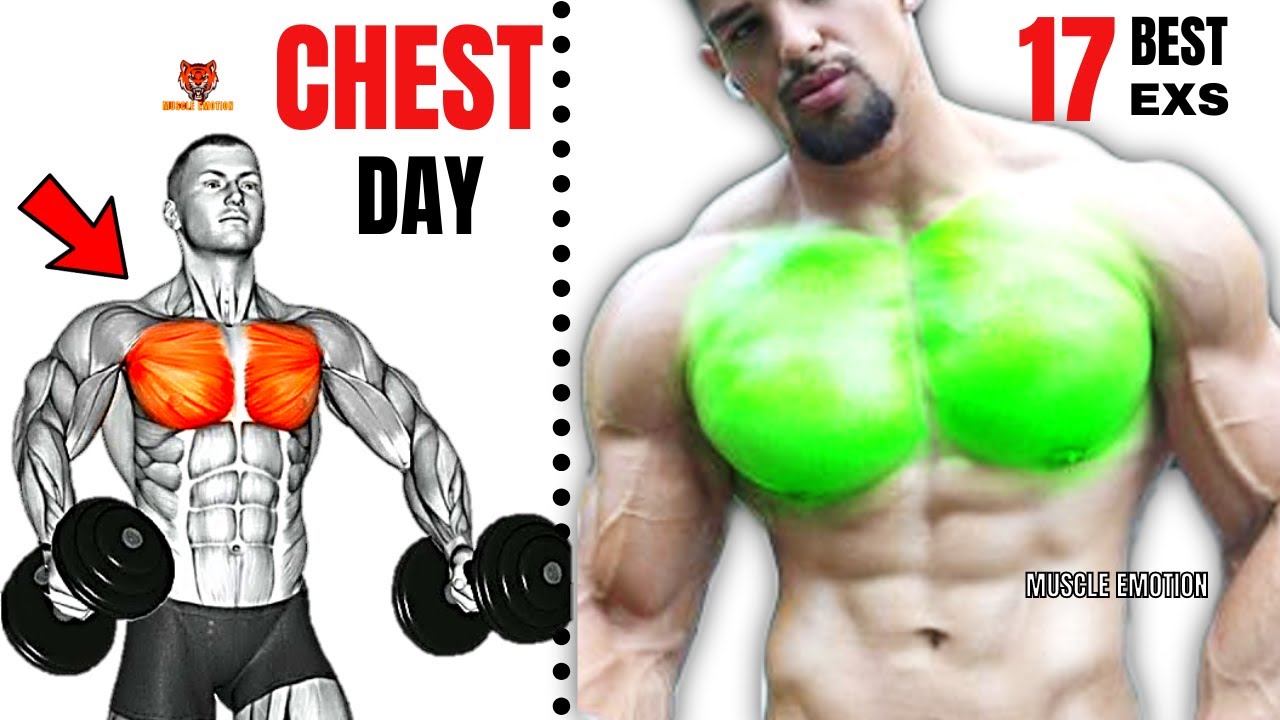 17 BEST  INNER ,LOWER AND UPPER CHEST WORKOUT AT GYM / Meilleurs exs Musculation poitrine .