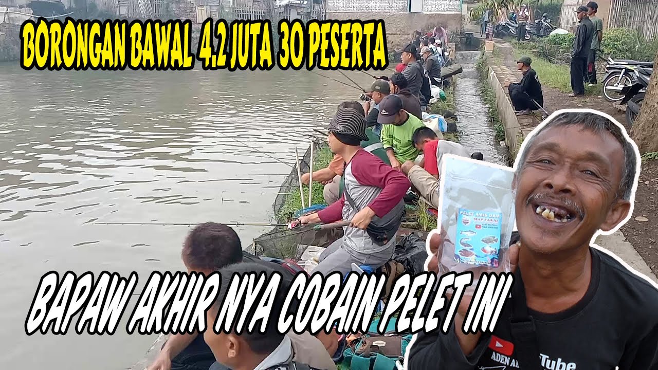 serunya mancing bawal babon di kolam ciawi - mancing keroyokan tasikmalaya