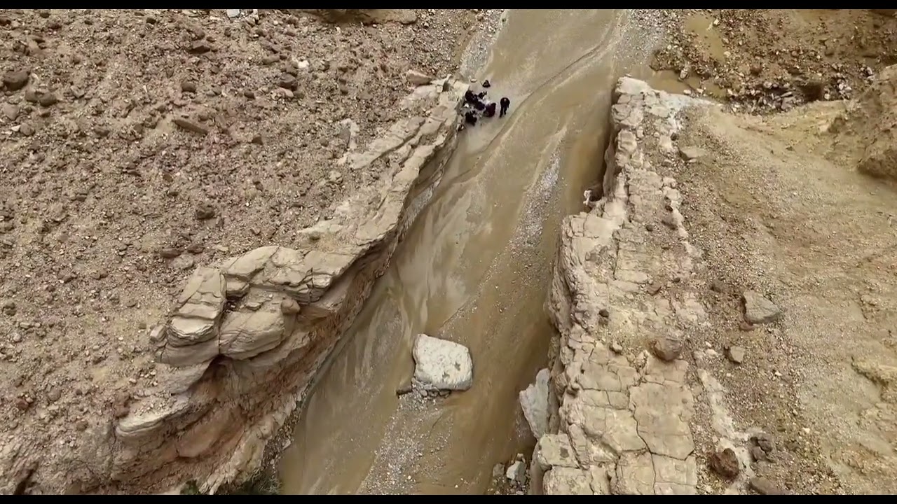 המדבר מתעורר לאחר הגשם, הרי אילת  The Desert Awaknes After the Rain, the Negev Desert Israel