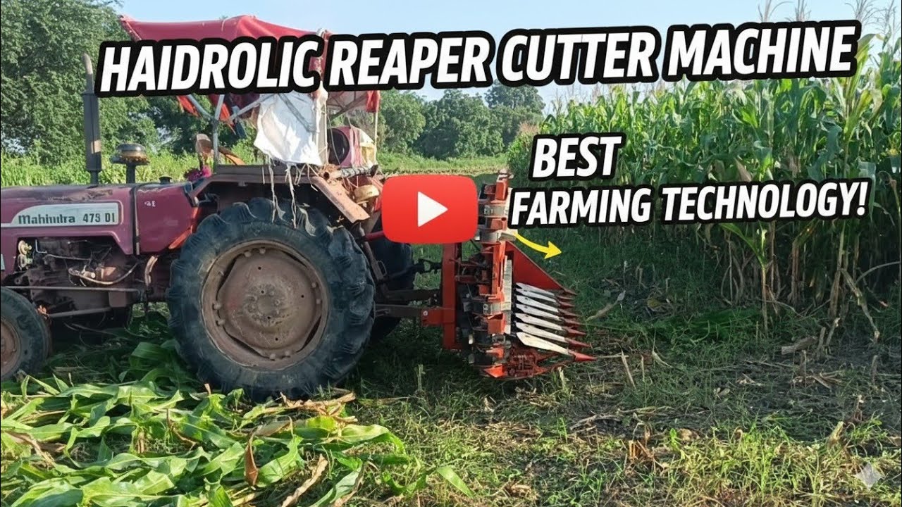 मक्का,उड़द,सोयाबीन,चना, मुग काटने की रीपर मशीन / tractor haidrolic reaper machine #reaper #farmer 