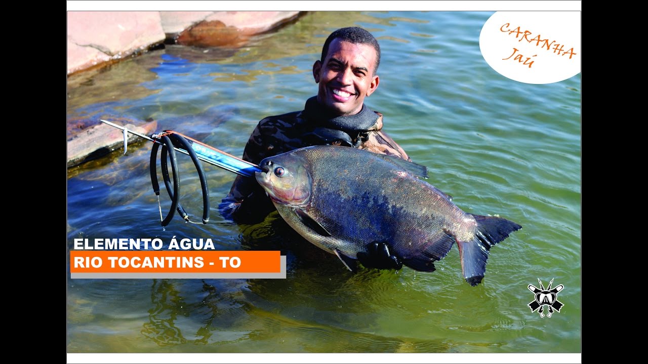 Pesca Sub | Elemento Água | Rio Tocantins -  Pesca Subaquática no Rio Tocantins