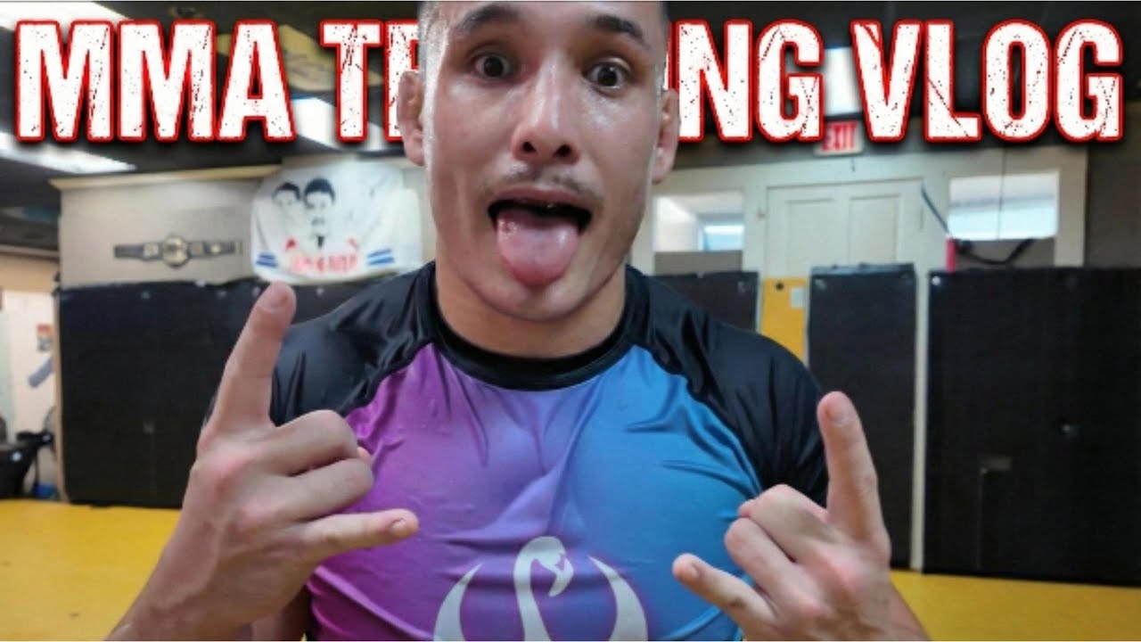 MMA TRAINING AND FANEXPO??