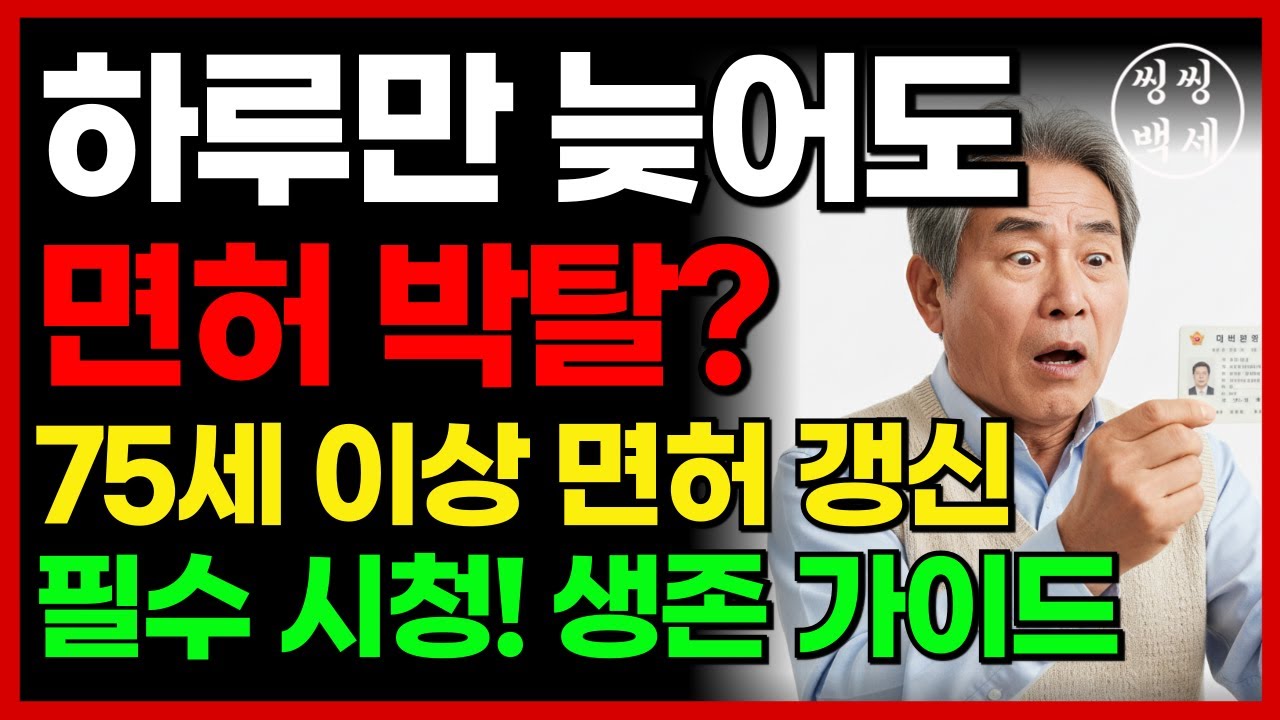 🚨자녀필수🚨[75세 이상 고령자 운전자 운전면허갱신.모르고 놓치면 ‘면허 취소' ] 75세이상운전면허갱신 | 고령운전자 | 갱신기한 | 2시간교육 | 시니어안전운전