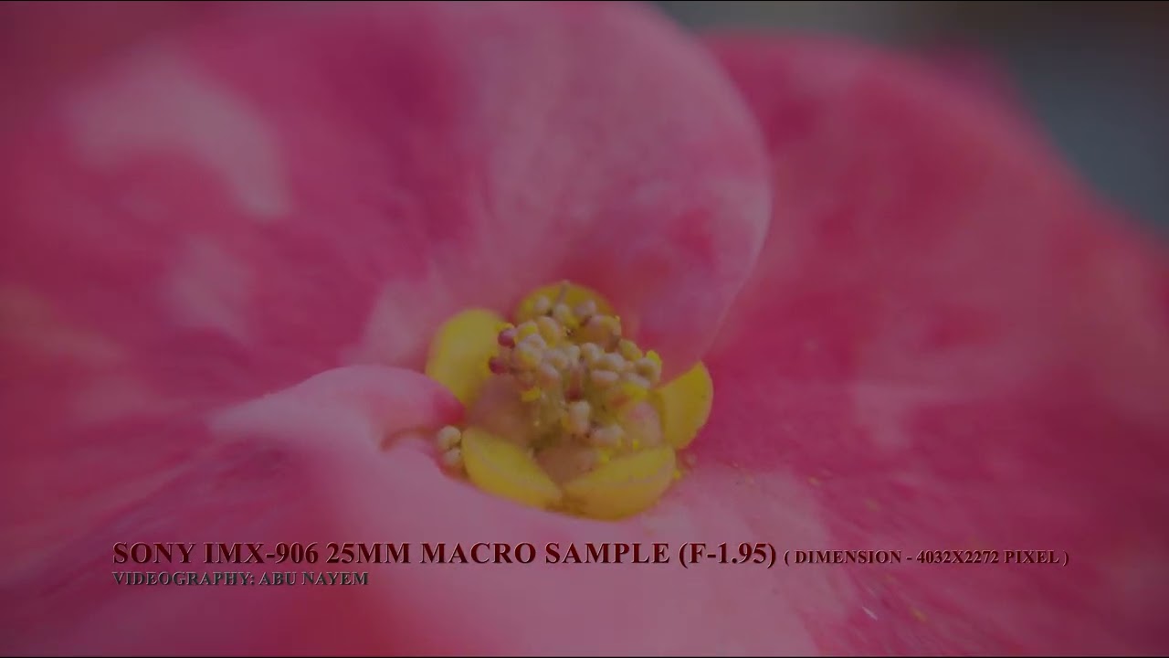 Sony IMX-906 (F-1.95) 25MM Macro (4032x2264) | Smartphone Camera Sample | Smartphone Camera Sensor