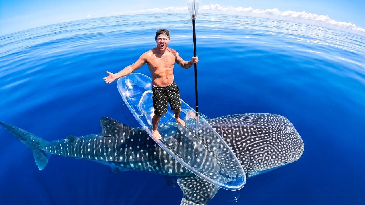 Exploring For Sea Creatures In My Transparent Kayak