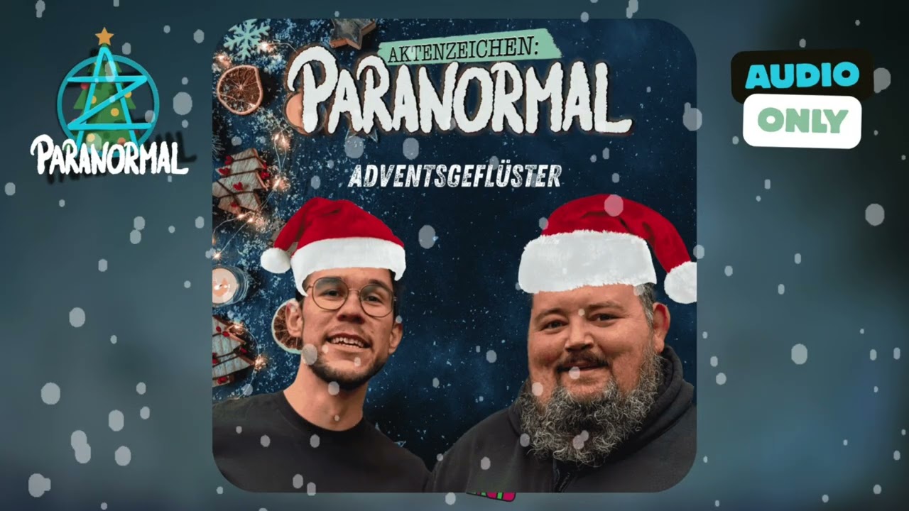 Adventsgefl&uuml;ster 2025 T&uuml;rchen #6