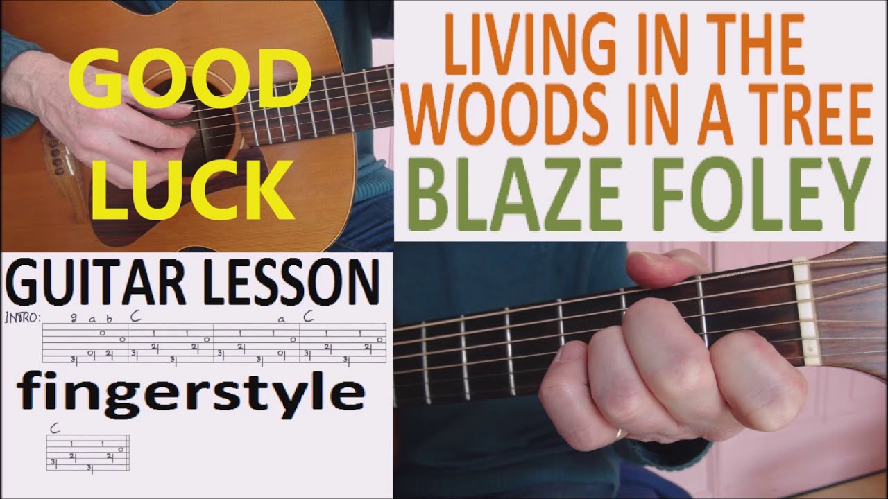 LIVING IN THE WOODS IN A TREE - BLAZE FOLEY fingerstyle GUITAR LESSON