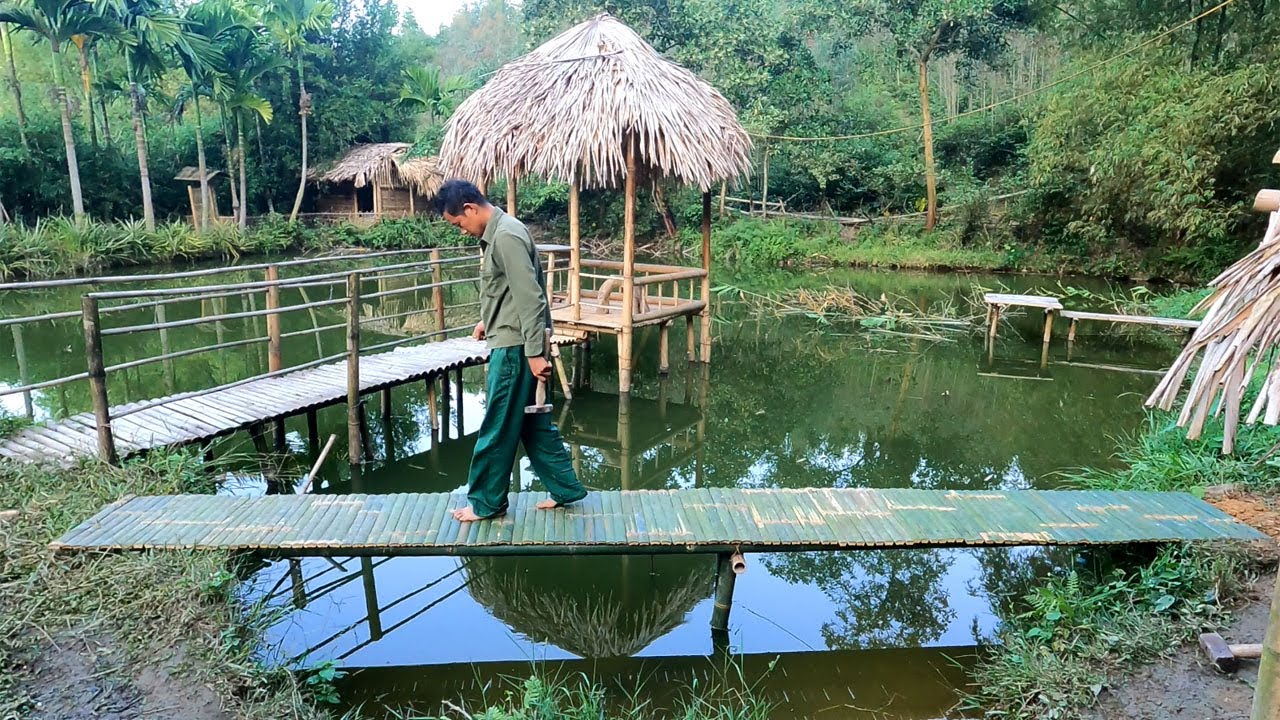 Repairing convenient access to the pig farm, wild alone, survival instinct - Forest Life CT | Ep 92